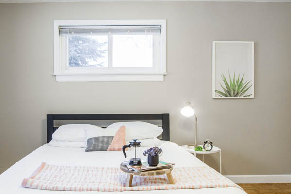 Egress Windows